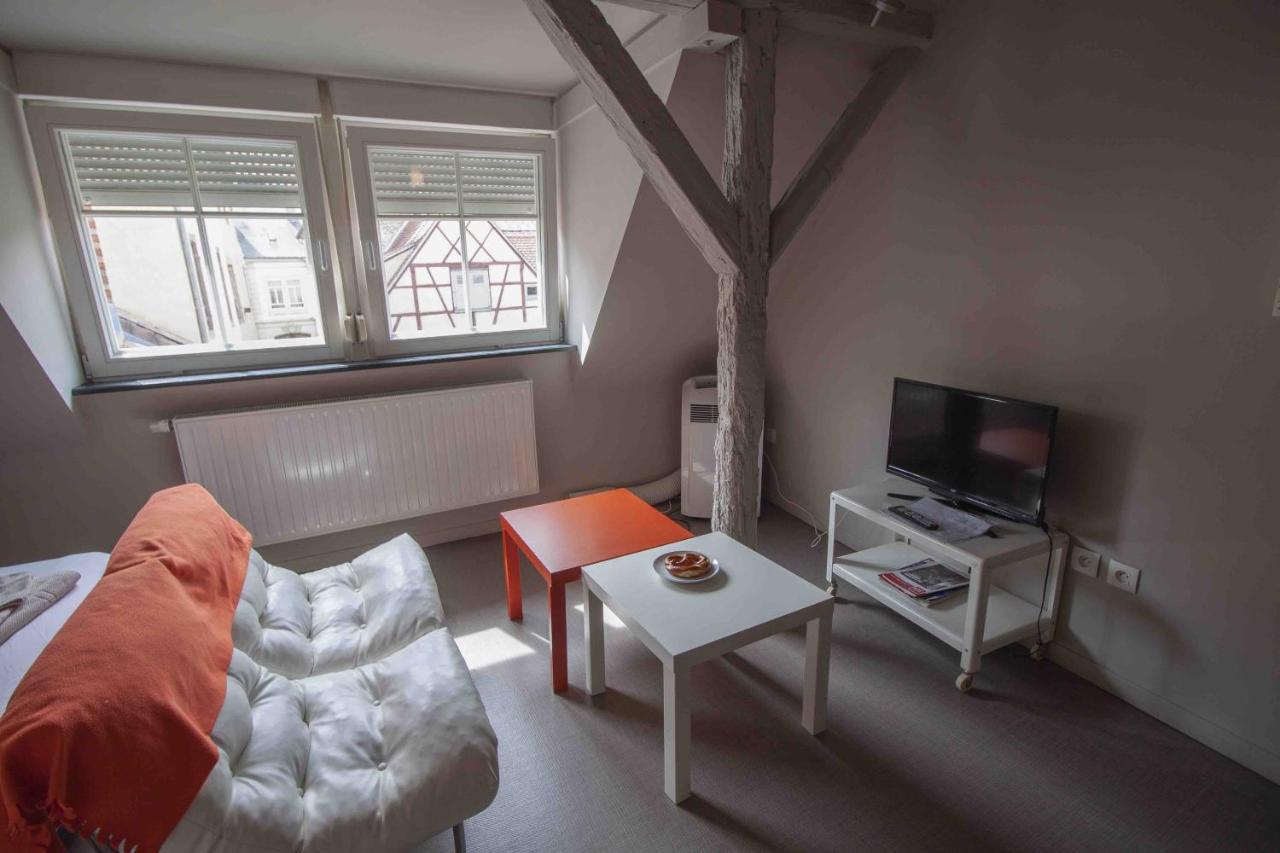 Apartmán La Cour De Berthe Est Colmar Exteriér fotografie