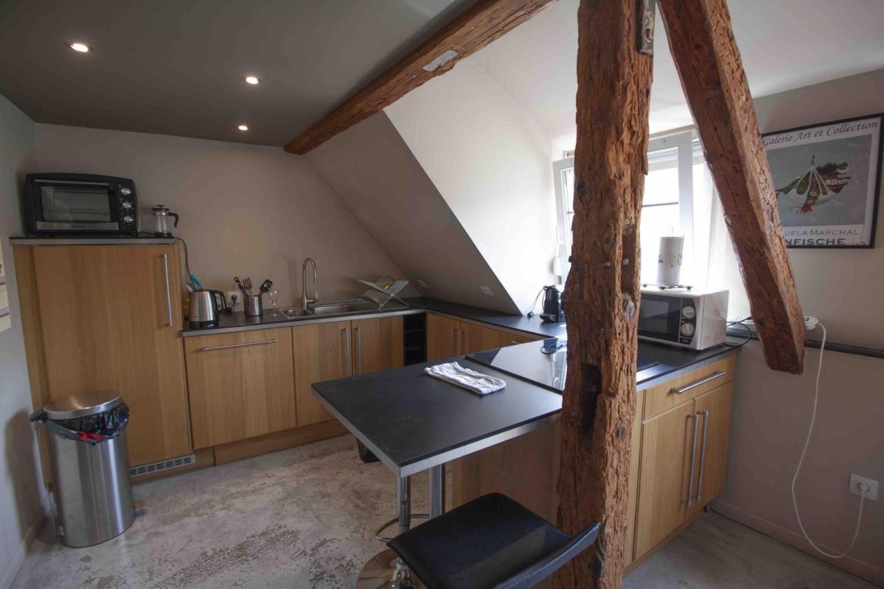 Apartmán La Cour De Berthe Est Colmar Exteriér fotografie